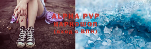 apvp Гусев