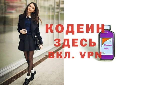 apvp Гусев