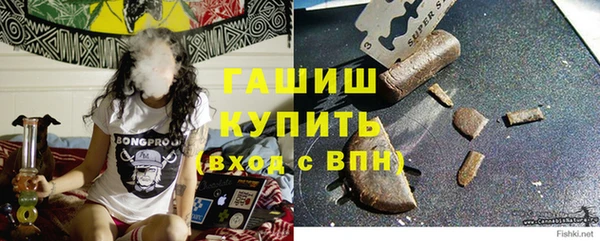 apvp Гусев