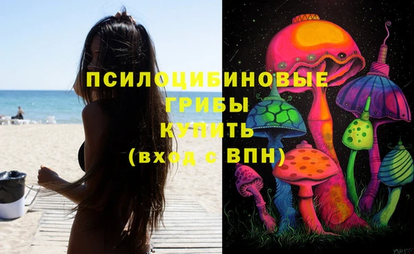 apvp Гусев