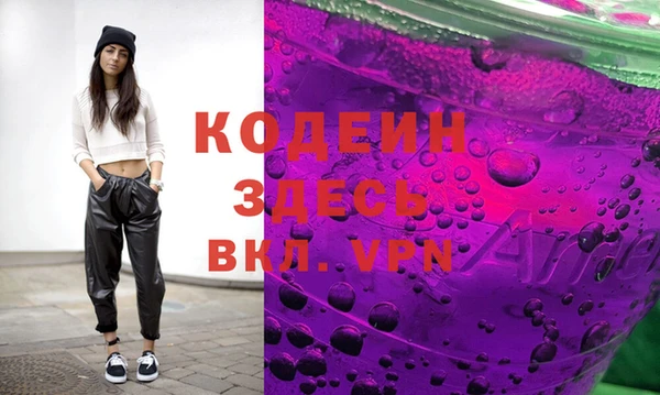 apvp Гусев