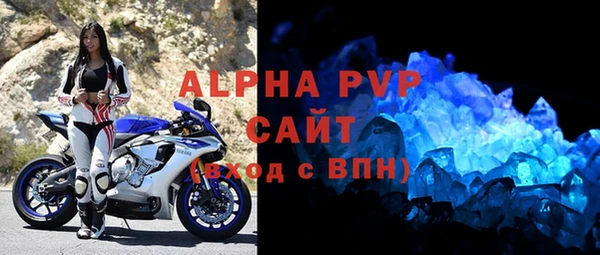 apvp Гусев
