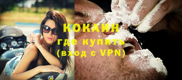 мдпв Гусь-Хрустальный