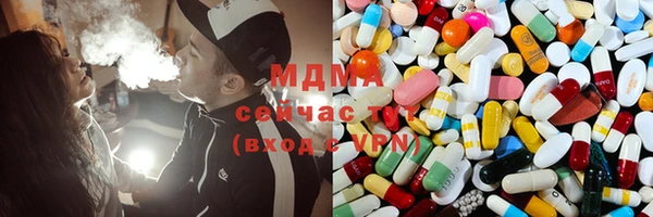 apvp Гусев