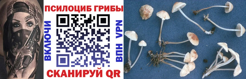 Галлюциногенные грибы MAGIC MUSHROOMS  mega вход  Озёрск 